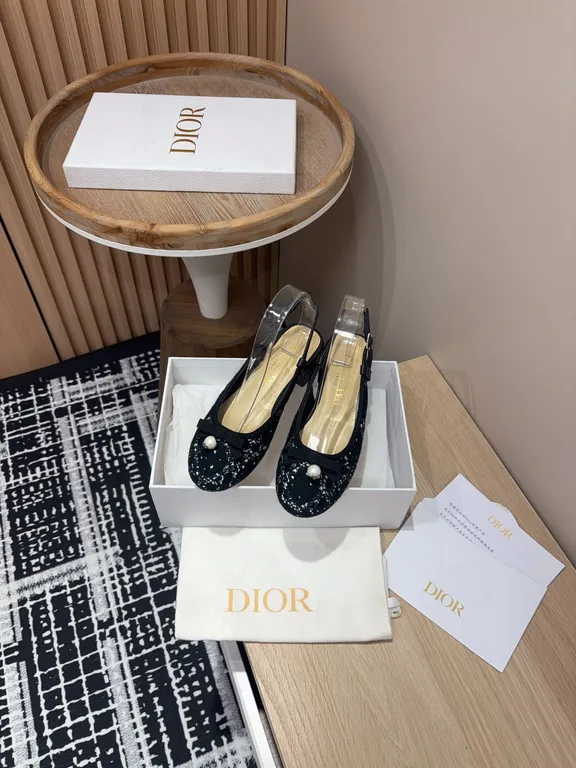 Dior Shoe 